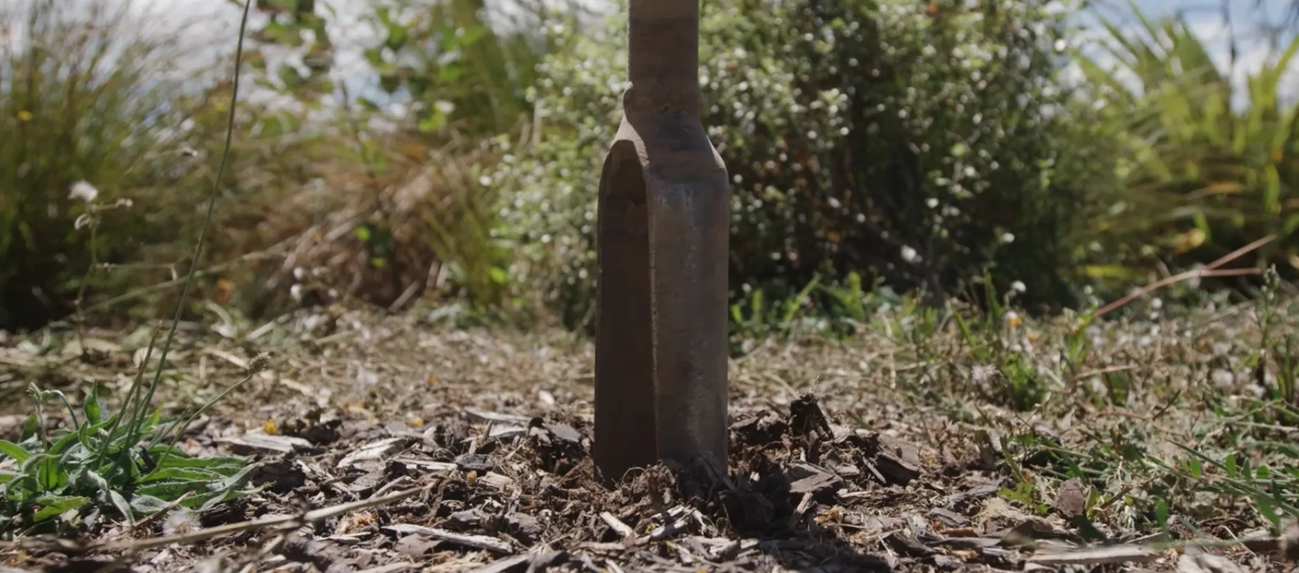 Close-up of a spade blade partially inserted into the tilled soil in a garden, with blurred foliage and trees in the background. Contam land assessment made by Eliot Sinclair's geotechnical team